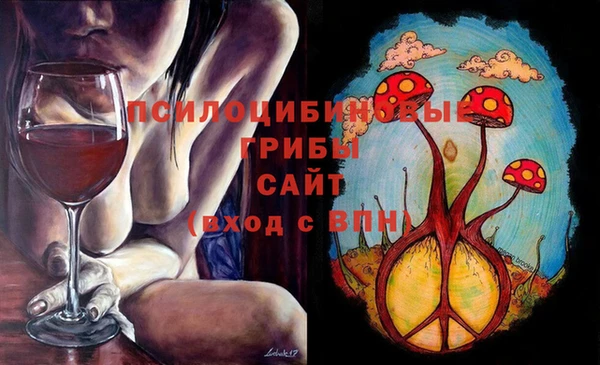 соль ск Алексин