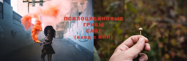 сатива Абдулино