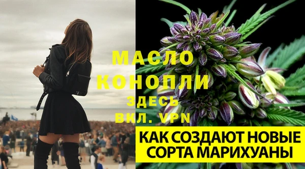 сатива Абдулино