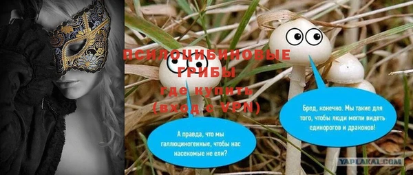 соль ск Алексин