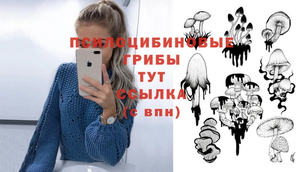 сатива Абдулино