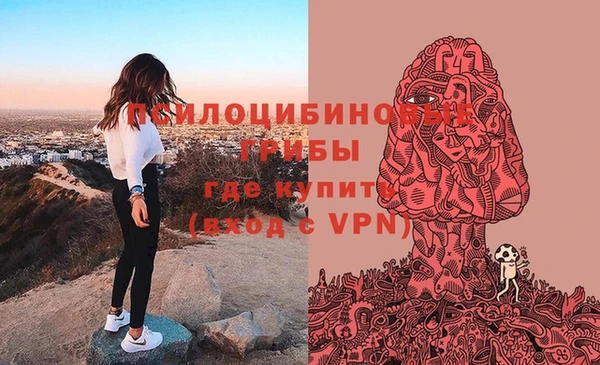 марки lsd Алексеевка