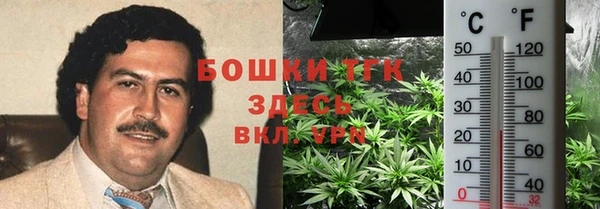 сатива Абдулино