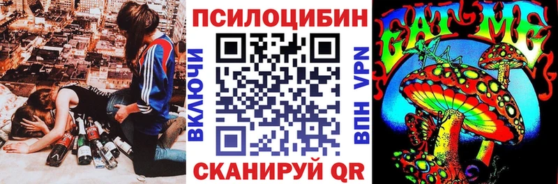 мега ссылки  Котлас  Псилоцибиновые грибы Psilocybine cubensis  закладка 