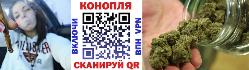 Конопля семена  kraken ссылки  Котлас 